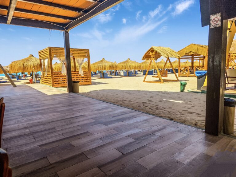 IMG 20240630 053522 768x576