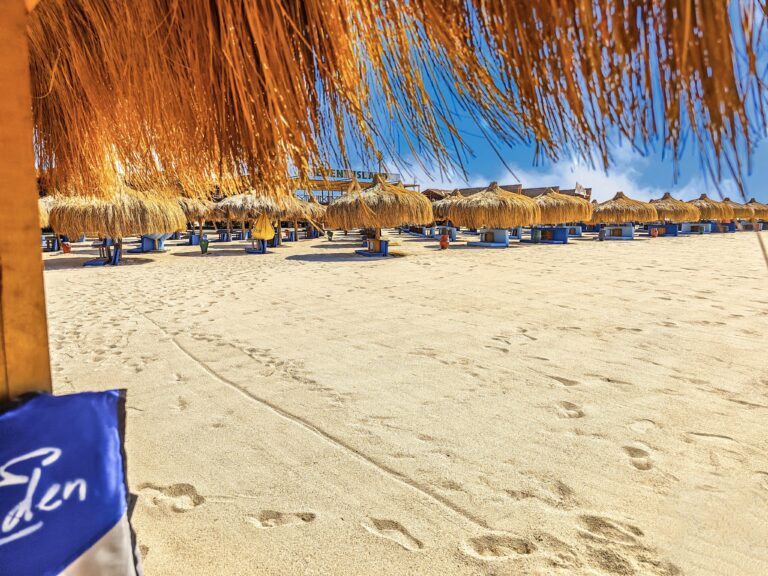 IMG 20240630 132050 768x576