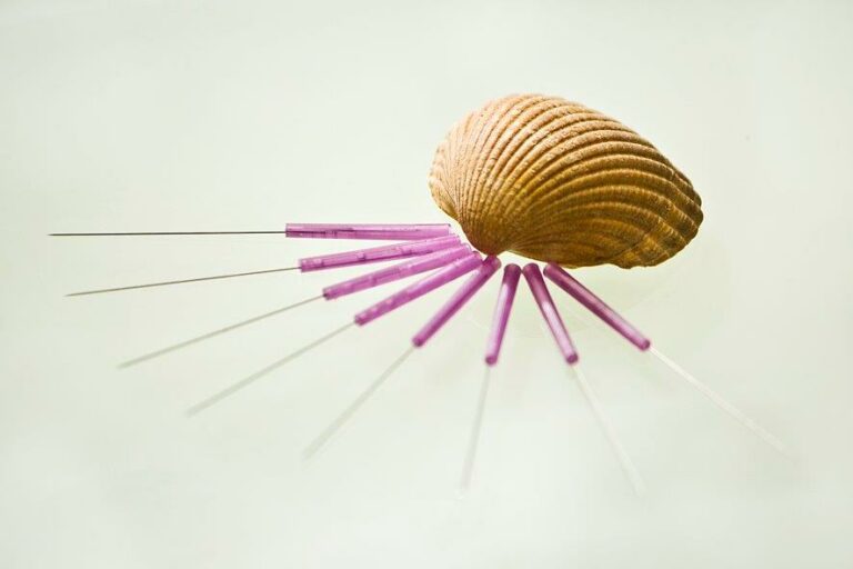 Praxisfotos 2011 024 768x512