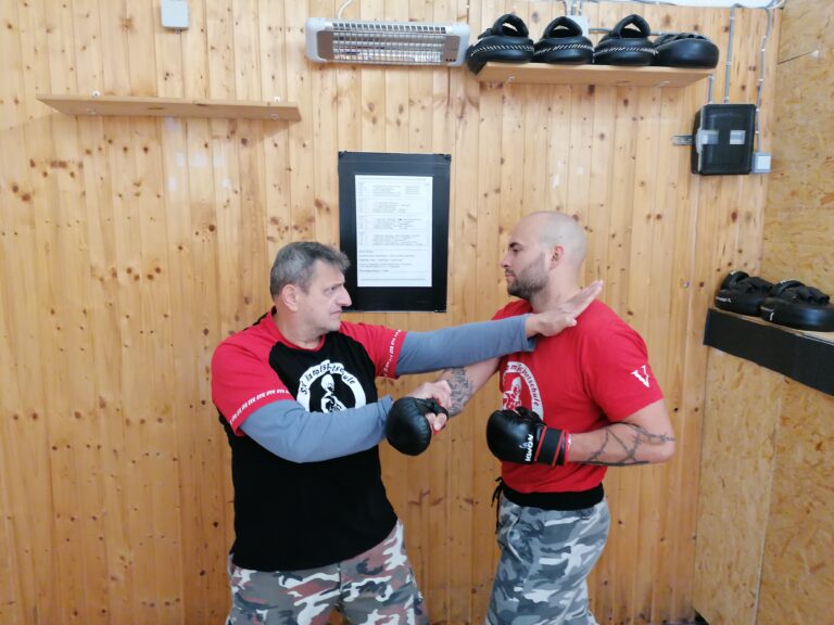 IMG 20240428 115737 768x576