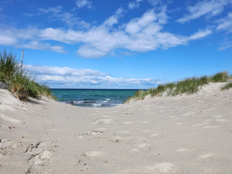 ahrenshoop stranduebergang 14 768x576