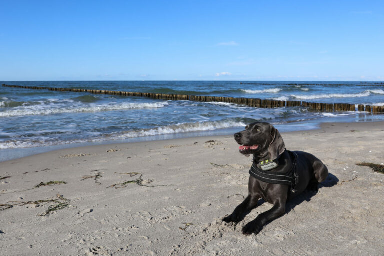 wustrow stranduebergang 9 3 768x512