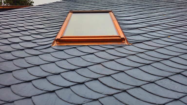 1000282449 1 768x432