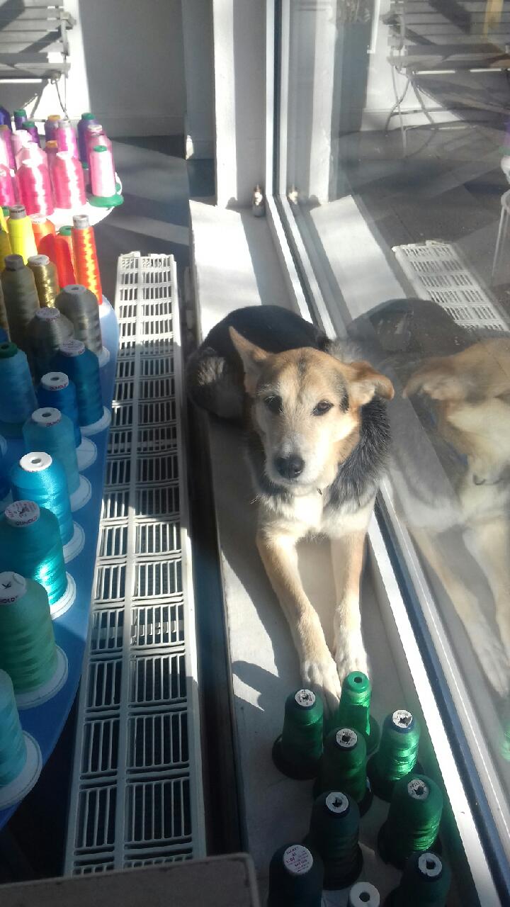 28471515 1972426739687359 4624855431833976832 n