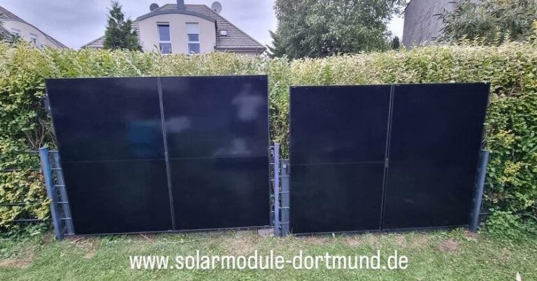 4x Aiko am Zaun 768x402