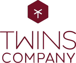 twins logo
