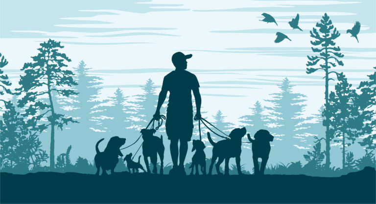 Gassi Service 768x417