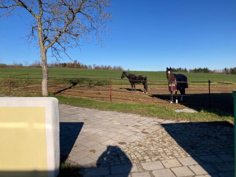 IMG 20241210 WA0015 768x576