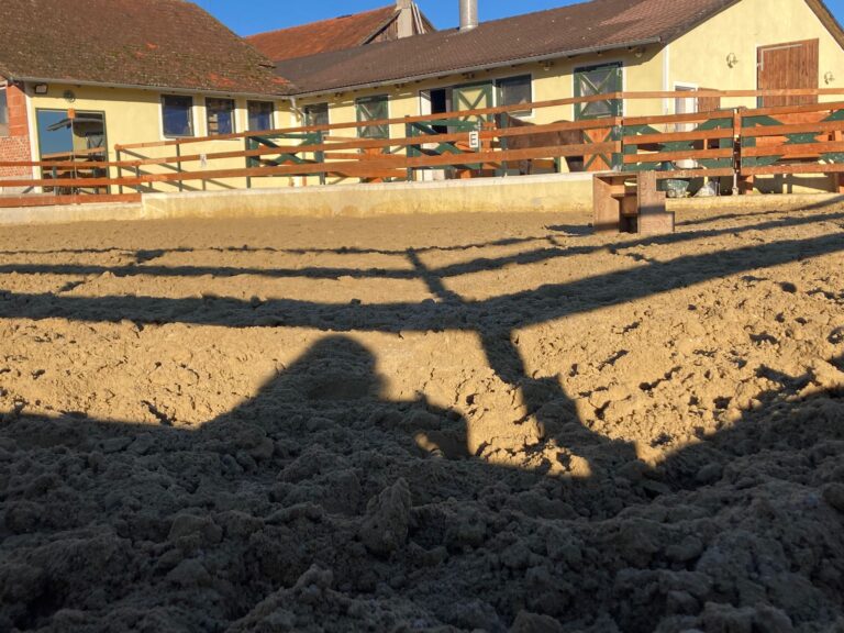 IMG 20241210 WA0020 768x576