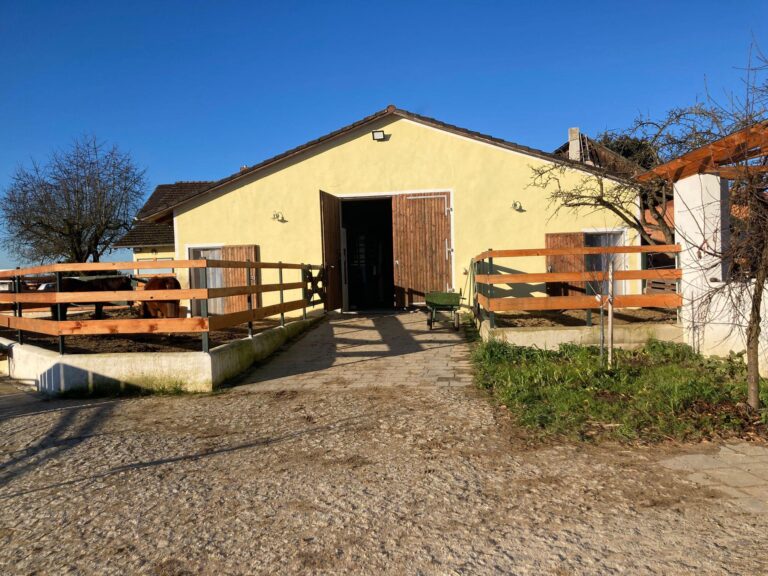 IMG 20241210 WA0029 768x576