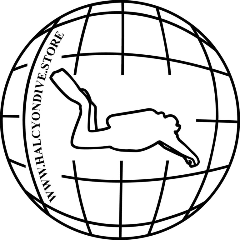 Logo HALCY schwarz 768x768