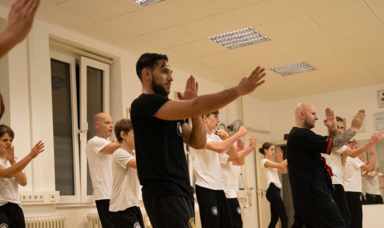 WingChun Selbstverteidigung Kampfkunst Heidelberg Kinder ab 4 Jahren Nahkampf Escrima Kravmaga solid defense Akademie fuer wing chun weststadt 01 768x457