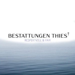 See Thies 1 300x300