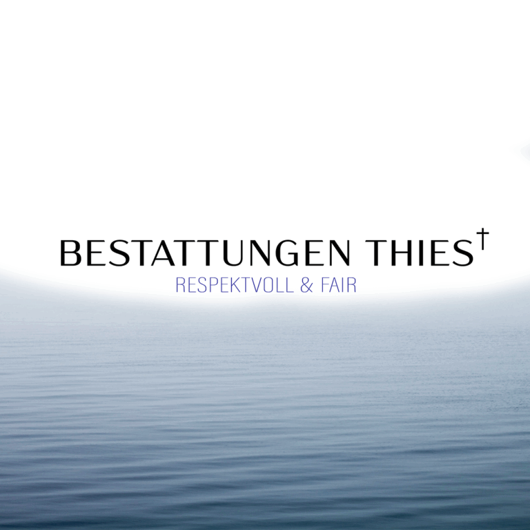 See Thies 1 768x768
